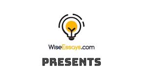 Wiseessays Review