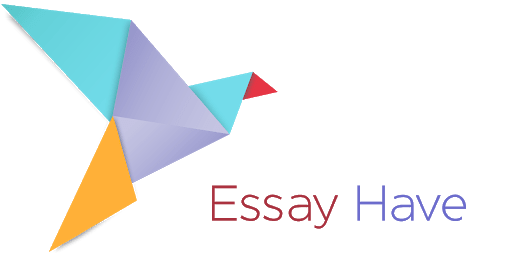 EssayHave Review